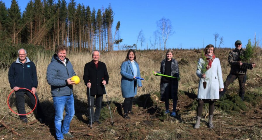 title | © copyright