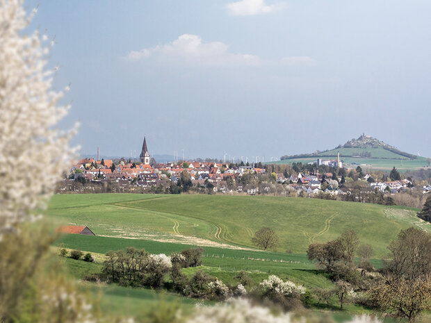 Blick auf eine Diemeltal mit Kirche und Schloss auf einem Hügel im Hintergrund, umgeben von grünen Feldern und Bäumen.
